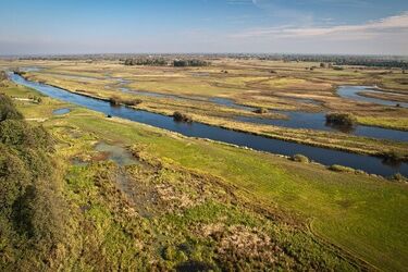 Narew i Biebrza. Jak nieregulowane rzeki chronią Podlasie przed powodzią?