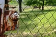 Skarbówka sprzedaje 30 działek od dwóch dłużników. Są warte ponad milion