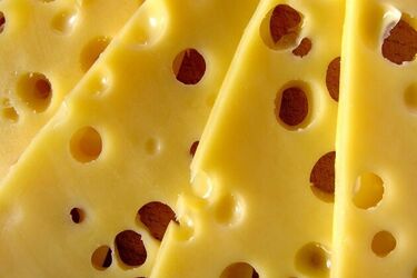 Uwaga na ser żółty znanej marki! GIS ostrzega: wykryto pałeczki Salmonella