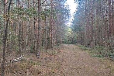Ostatni dzień września w jesiennym stylu. Będzie chłodno, lecz słonecznie