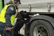 Udaremniono przemyt kontrabandy. Funkcjonariuszy KAS wspierał pies Denar