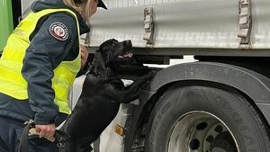 Udaremniono przemyt kontrabandy. Funkcjonariuszy KAS wspierał pies Denar