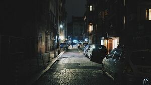 Szła nocą, ubrana jedynie w piżamę. Policjanci szybko zareagowali