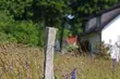 Skarbówka sprzedaje działki. Ceny wywoławcze robią wrażenie 
