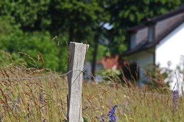 Skarbówka sprzedaje działki. Ceny wywoławcze robią wrażenie 