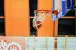 Ten zespół nie ma sobie równych. Żubry wciąż bez porażki