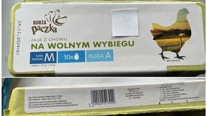 Jajka wycofane ze sprzedaży! GIS ostrzega: wykryto obecność bakterii Salmonella