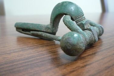 Na terenie Wigierskiego Parku Narodowego odkryto przedmiot z dalekiej przeszłości