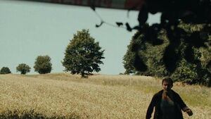 Festiwal Żubroffka ma już 18 lat! Wielkie święto filmu i muzyki już wkrótce 