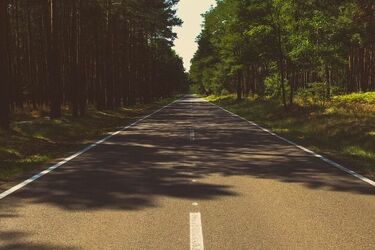 Pijany kierowca uderzył w drzewo. Wsiadł za kółko mając 3 promile