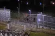 Próbowali dostać się do Polski. Wybrali nieczynne przejście graniczne [WIDEO]