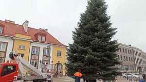 W Białymstoku trwają przygotowania do świąt. Rynek Kościuszki stanie się magiczną krainą