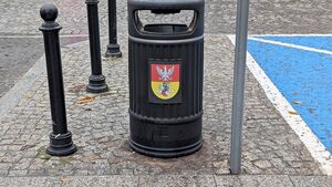 Nowe kosze na ulicach Białegostoku. Tyle kosztuje czystość w mieście