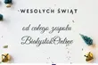 Pełnych radości, ciepła i rodzinnej atmosfery Świąt Bożego Narodzenia! 