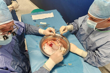 Dwa przeszczepy nerek w Nowy Rok w USK. Niewiele brakowało, a nie doszłoby do operacji