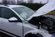 Dzikie zwierzęta na drodze. Policja odnotowała ponad 900 kolizji