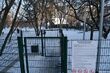 Psi park na Leśnej Dolinie. Miasto wciąż szuka wykonawcy 