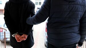 Trzech złodziei w rękach policji. Kradli wędliny, pampersy i papier toaletowy
