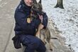 Nowy pies w białostockiej policji. Wiga zajmie się tropieniem narkotyków