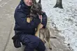 Nowy pies w białostockiej policji. Wiga zajmie się tropieniem narkotyków