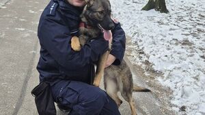 Nowy pies w białostockiej policji. Wiga zajmie się tropieniem narkotyków