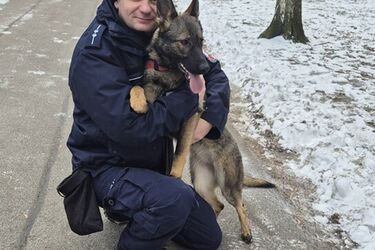 Nowy pies w białostockiej policji. Wiga zajmie się tropieniem narkotyków