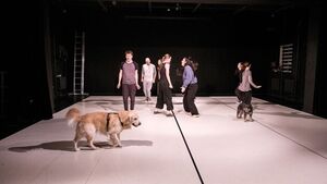 Świat po apokalipsie oczami zwierząt. "Pupile" na scenie Teatru Szkolnego