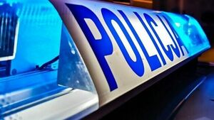 Tragiczny wypadek podczas wycinki drzew w Downarach. Zginął 3-letni chłopiec
