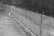 Próby nielegalnego przekroczenia granicy. Zatrzymano ponad 40 osób [FILM]