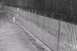 Próby nielegalnego przekroczenia granicy. Zatrzymano ponad 40 osób [FILM]