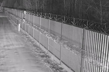 Próby nielegalnego przekroczenia granicy. Zatrzymano ponad 40 osób [FILM]