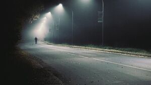 Kto będzie usuwać martwe zwierzęta w Białymstoku? Jedna firma chce ponad 1,2 mln zł