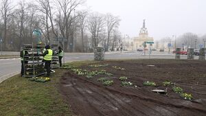 Wiosenne nasadzenia w Białymstoku. Trwają przygotowania do sezonu