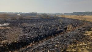 Groźny pożar traw pod Białymstokiem. Strażacy walczyli z żywiołem