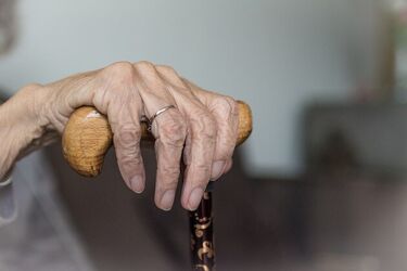 Kolejna edycja Paczki dla Seniora. Każdy może wesprzeć tę inicjatywę