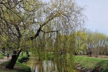 Przed nami ciepły weekend w Białymstoku. Ile będzie stopni?