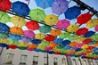 Tęczowe parasolki wrócą nad ul. Kilińskiego. Miasto szuka wykonawcy 