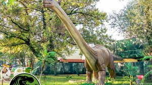 Nowa atrakcja w Białymstoku. Dinoworld zaprasza miłośników dinozaurów