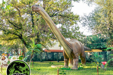 Nowa atrakcja w Białymstoku. Dinoworld zaprasza miłośników dinozaurów