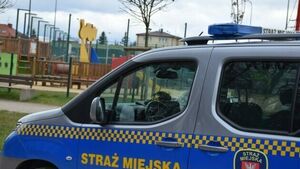 Myślisz o pracy w służbach? Straż Miejska rekrutuje. Zobacz, jakie są wymagania