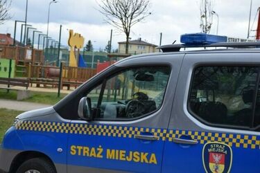 Myślisz o pracy w służbach? Straż Miejska rekrutuje. Zobacz, jakie są wymagania