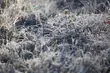 Przymrozki w Podlaskiem. IMGW ostrzega