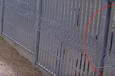 Atak na polski patrol na granicy z Białorusią. Wśród migrantów była osoba w mundurze