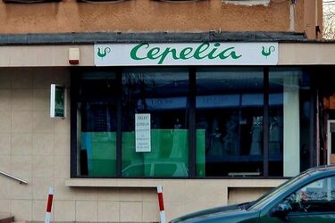 Cepelia wraca – w nowej lokalizacji, z tą samą duszą tradycji