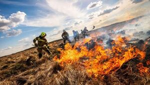Pożar w Biebrzańskim Parku Narodowym. Trwa walka z żywiołem