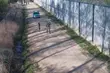 Kolejny incydent na granicy z Białorusią. Migranci zaatakowali polskie patrole [FILM]