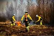 Pożar w Biebrzy. Czerwone Bagno ocalało, ale straty w przyrodzie są poważne