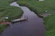 Gdzie spędzić majówkę na Podlasiu? 8 miejsc na wiosenny wypoczynek