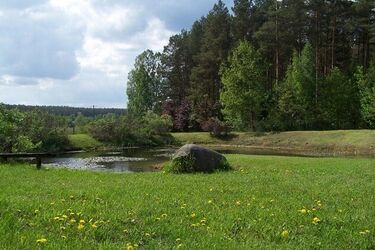 Arboretum w Kopnej Górze. Oaza natury w sercu Puszczy Knyszyńskiej [ZDJĘCIA]
