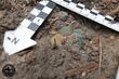 Skarb w Puszczy Knyszyńskiej. To odkrycie może zmienić historię Podlasia